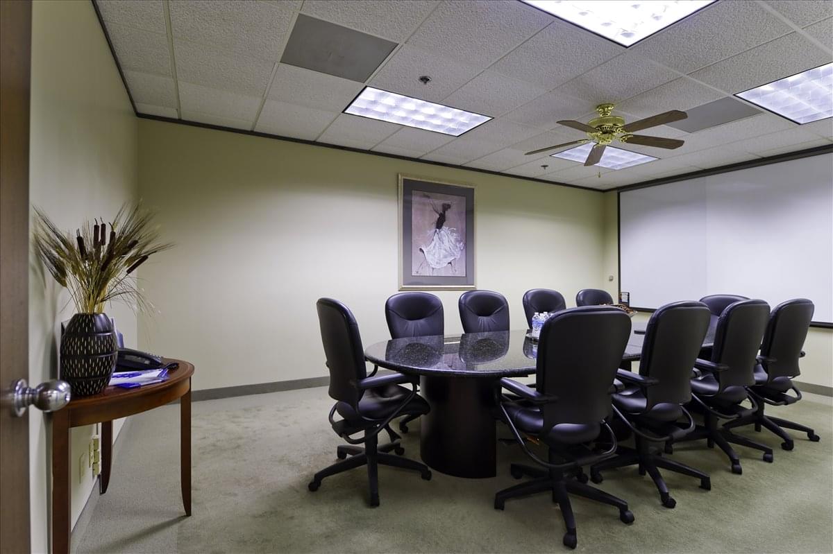 Richardson Telecom, 2435 N Central Expy Office Space - Richardson