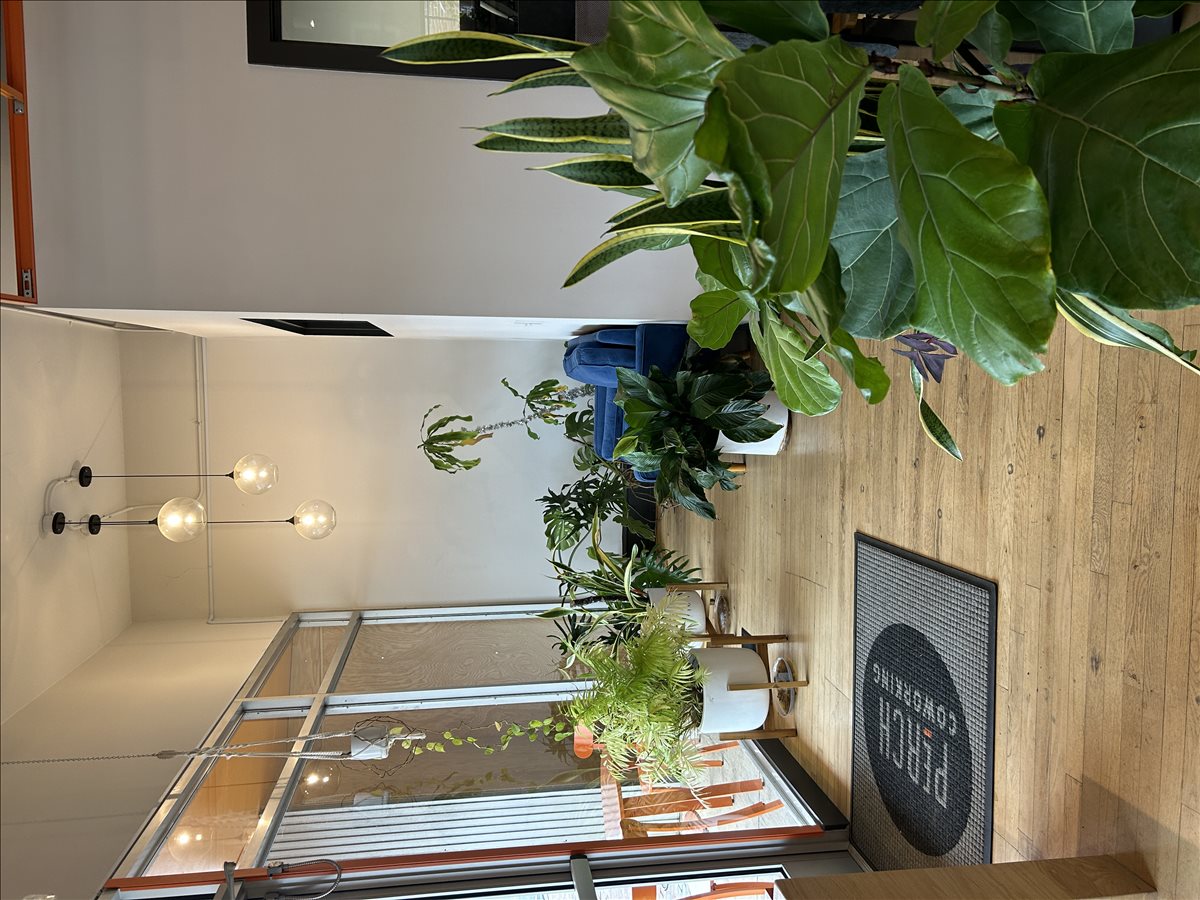 102 Hillsboro Street Office Space - Chapel Hill